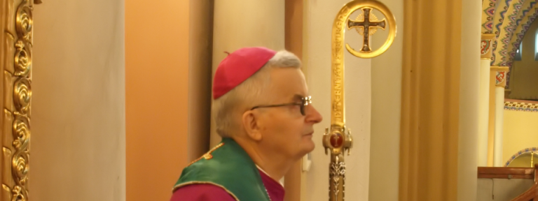 Wizytacja duszpasterska