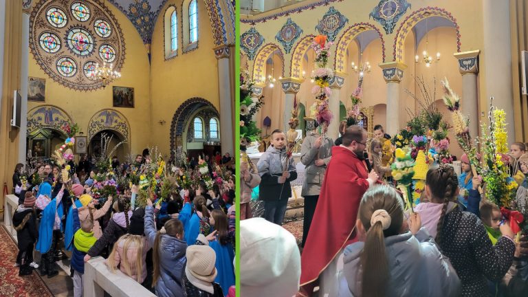 Konkurs na najpiękniejszą palmę