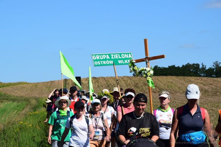 Zieloni na szlaku – dzień 4 – podsumowanie