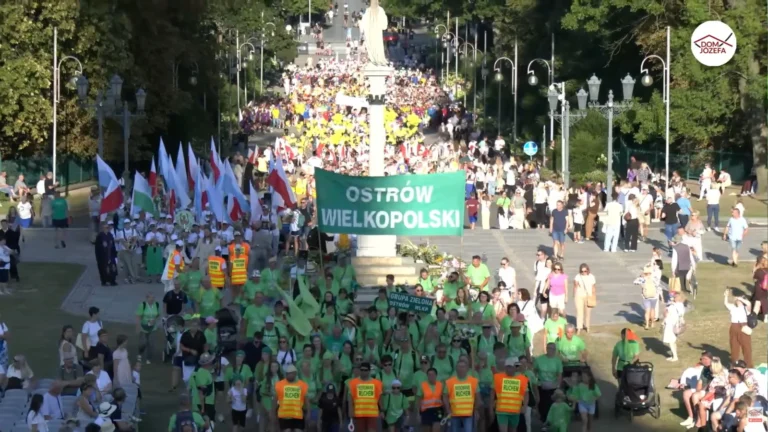 Zielony dzień 5