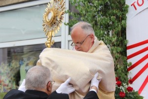 IMG 4556 m 