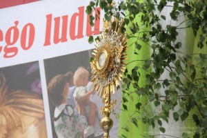 IMG 4614 m   