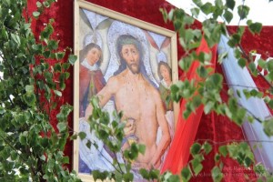 IMG 4626 m 