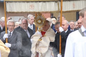 IMG 4662 m 