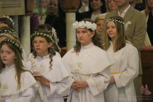 IMG 2741