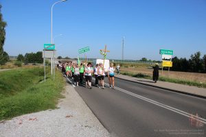 IMG 7778